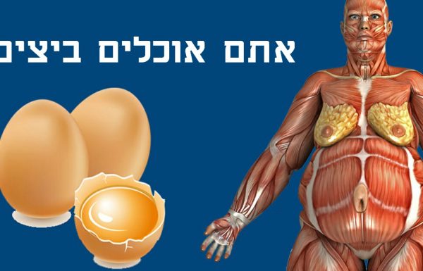 רופאים חושפים: זה קורה בגוף שלכם כשאתם מתחילים לאכול שתי ביצים ביום