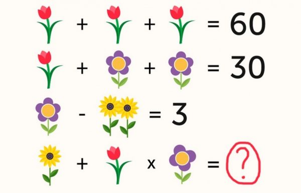 אפילו מבוגרים לא מצליחים למצוא את התשובה לחידת המתמטיקה הזו של ילדים
