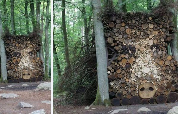 20 אנשים שהפכו ערימות של בולי עץ ליצירות אומנות מטורפות