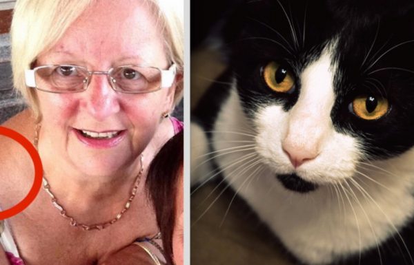 החתול של אישה בת 64 החל להתנהג בצורה מוזרה – אך אז היא הבינה שהוא מנסה לומר לה משהו
