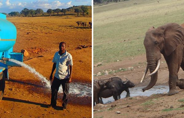 הבחור הזה נוסע מספר שעות בכל יום כדי לספק מים לחיות הבר בזמן הבצורת