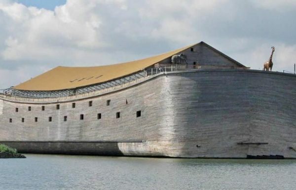 נגר בילה שני עשורים בבניית ‘תיבת נוח’. מבט אחד פנימה ולא תאמינו שזה אמיתי