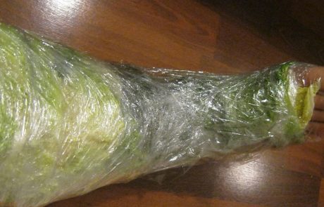 היא עטפה את הרגל עם כרוב לבן וחיכתה שעה…כשגיליתי למה – התחלתי לעשות את זה גם!