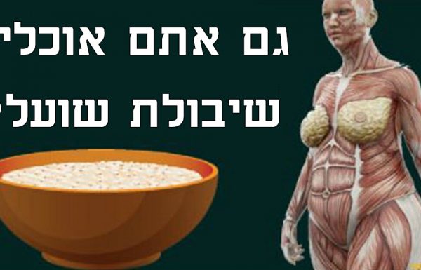 מדענים חושפים: זה מה שקורה לגוף שלכם כשאתם מתחילים לאכול שיבולת שועל כל יום