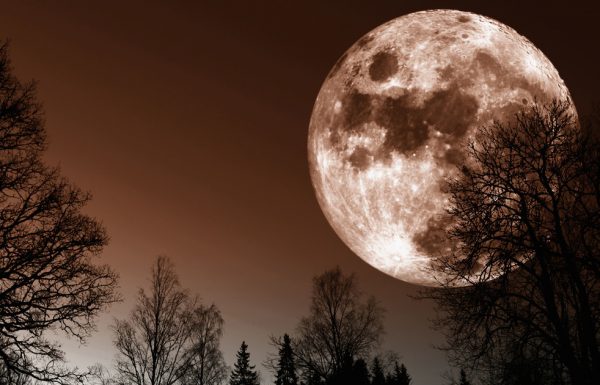 הירח הכי גדול מאז 1948 – גלו מתי תוכלו לראות אותו